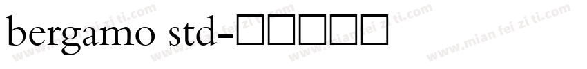 bergamo std字体转换